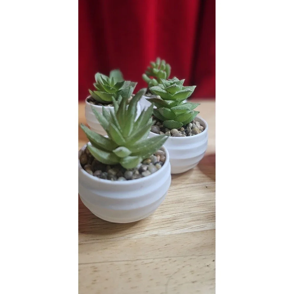 Set of 6 Faux Succulent Plants in White Pots Mini Artificial Desk Home Decor